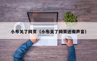 小布关了网页（小布关了网页还有声音）